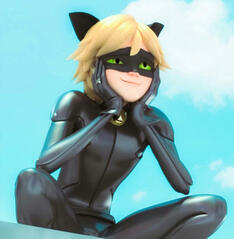 Cat Noir - Miraculous Ladybug