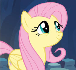 Fluttershy